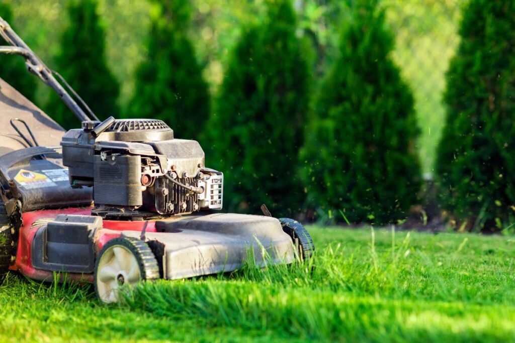 Ar galima į žoliapjovę pilti automobilio alyvą?