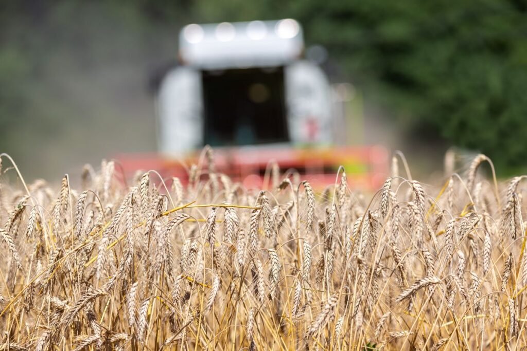 AB „Linas Agro“veiklos sritys