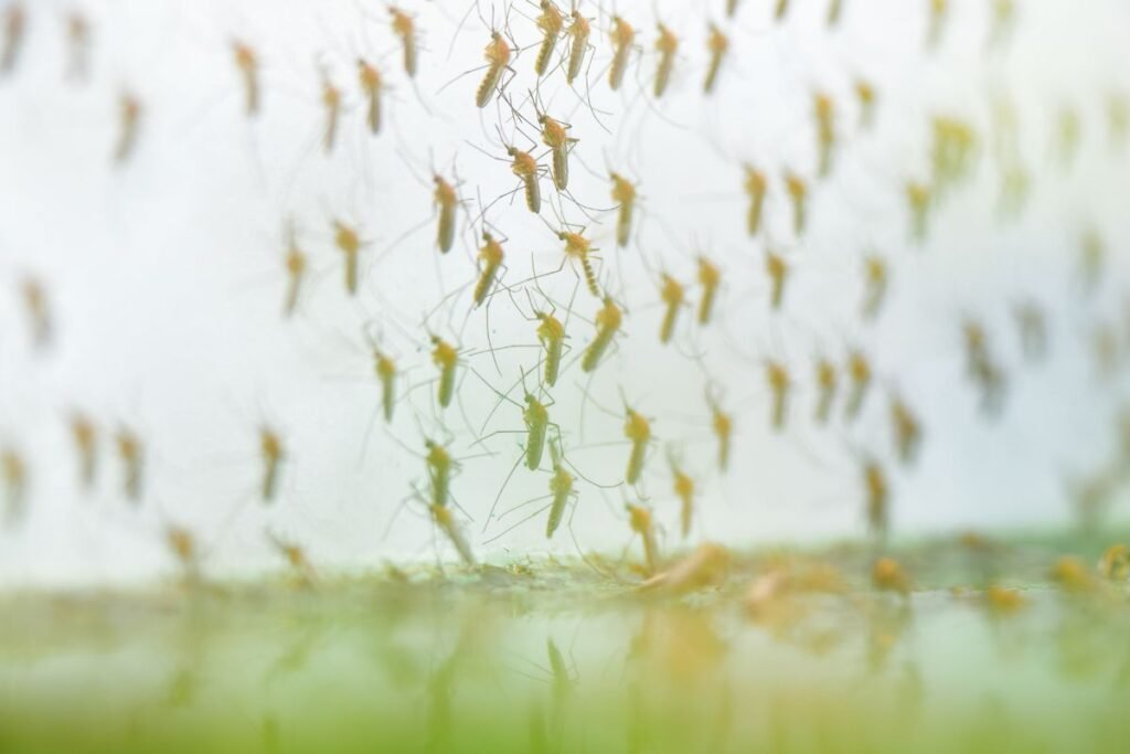 Uodų naikinimas: biologiniai metodai