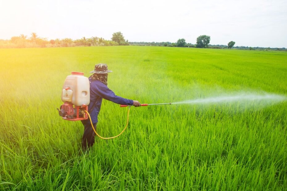 Kaip pasigaminti natūralų insekticidą? Ekologiški sprendimai sodui ir daržui