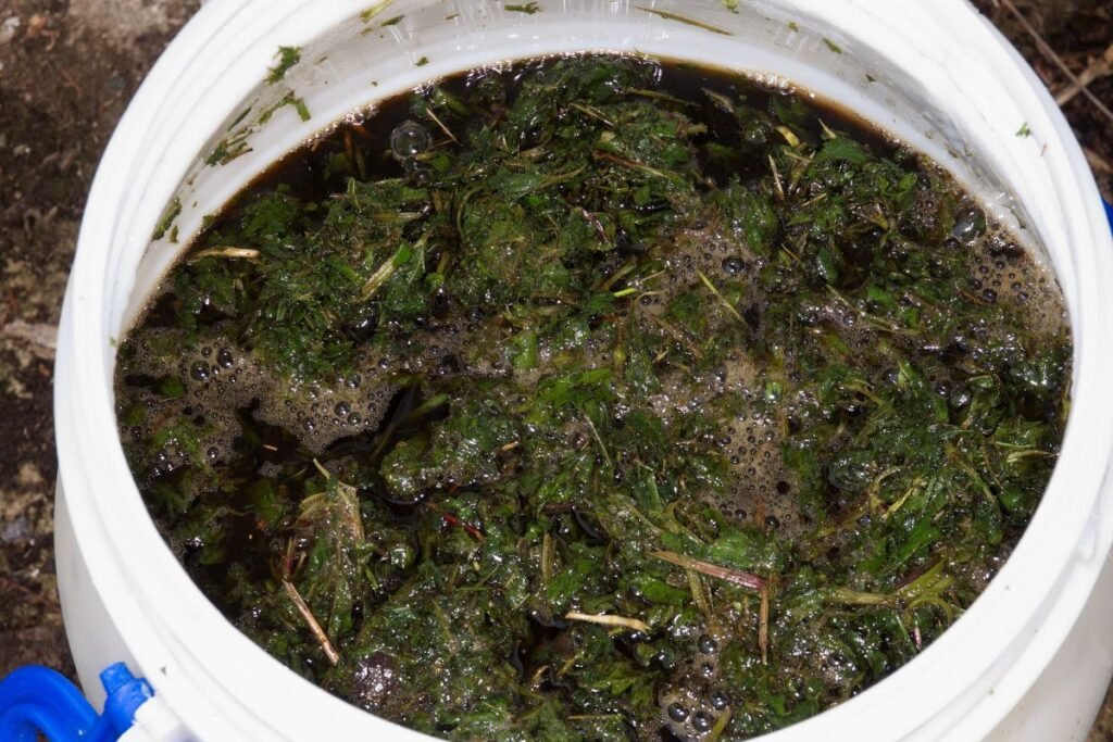 Kaip pasigaminti natūralų insekticidą: prevencijos svarba