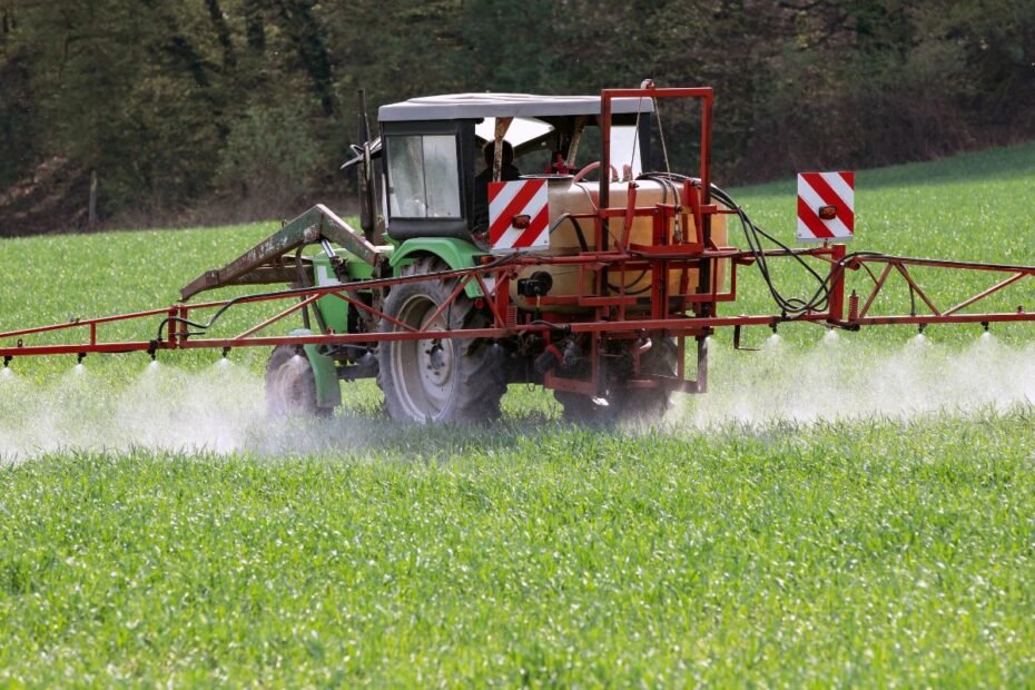 Pantera herbicidas – efektyvus sprendimas kovai su vienaskiltėmis piktžolėmis