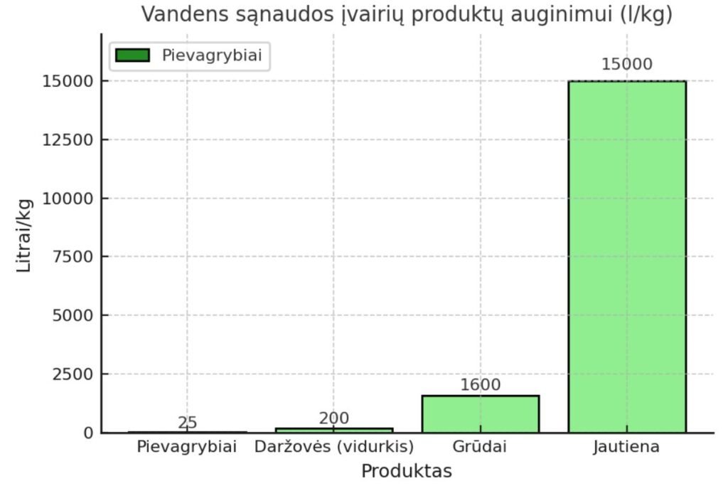 Grybų auginimas
