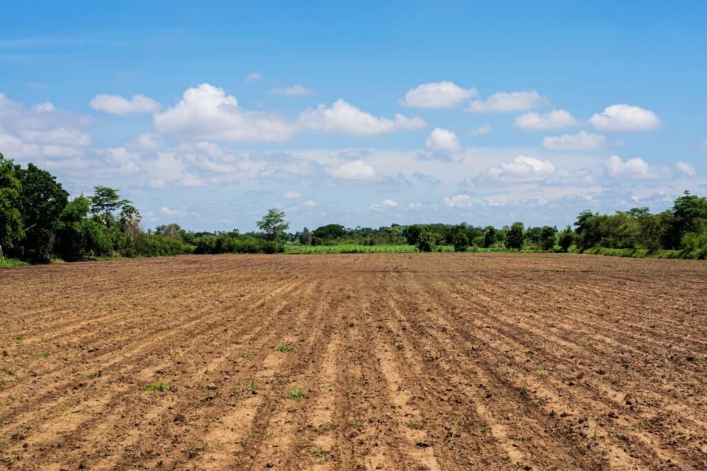 Pranešimas apie sprendimą parduoti žemės ūkio paskirties žemės sklypą: praktiniai patarimai pardavėjams