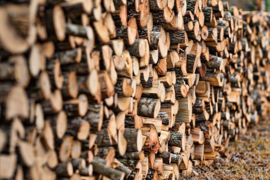 Malkos ūkiui: kokia mediena tinkamiausia šildymui ir ūkinėms reikmėms?