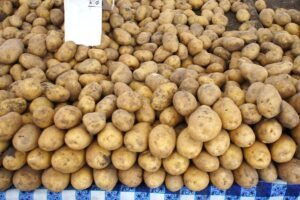 Bulvių kainos Lietuvoje ir kitose ES šalyse: kodėl už bulves mokame brangiau nei kaimynai?