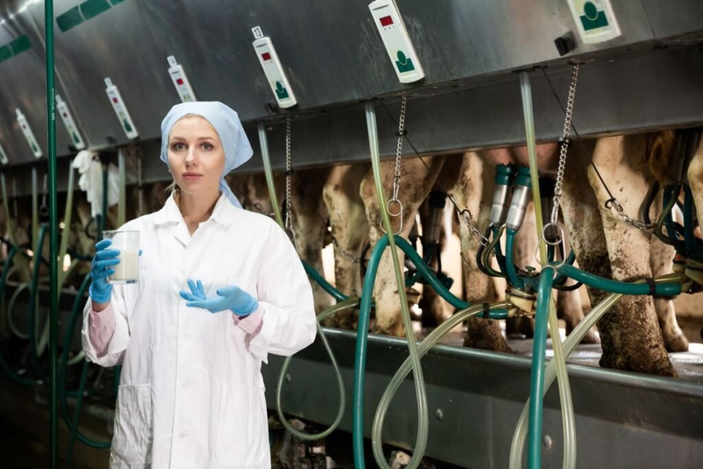 Somatinės ląstelės