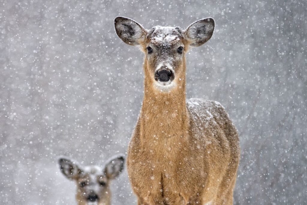 Kompleksinis požiūris – geriausias rezultatas