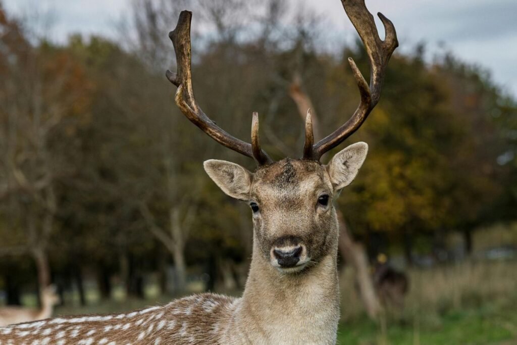Kokią paramą galima gauti?