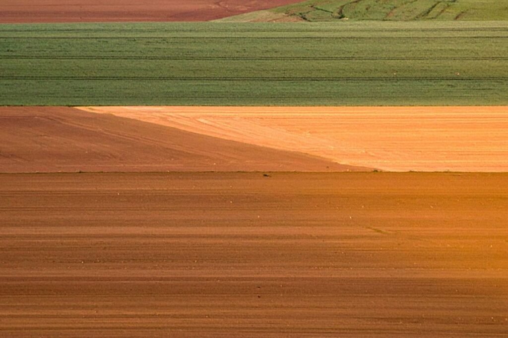 Kada dirbamos žemės nuoma gali būti alternatyva pirkimui