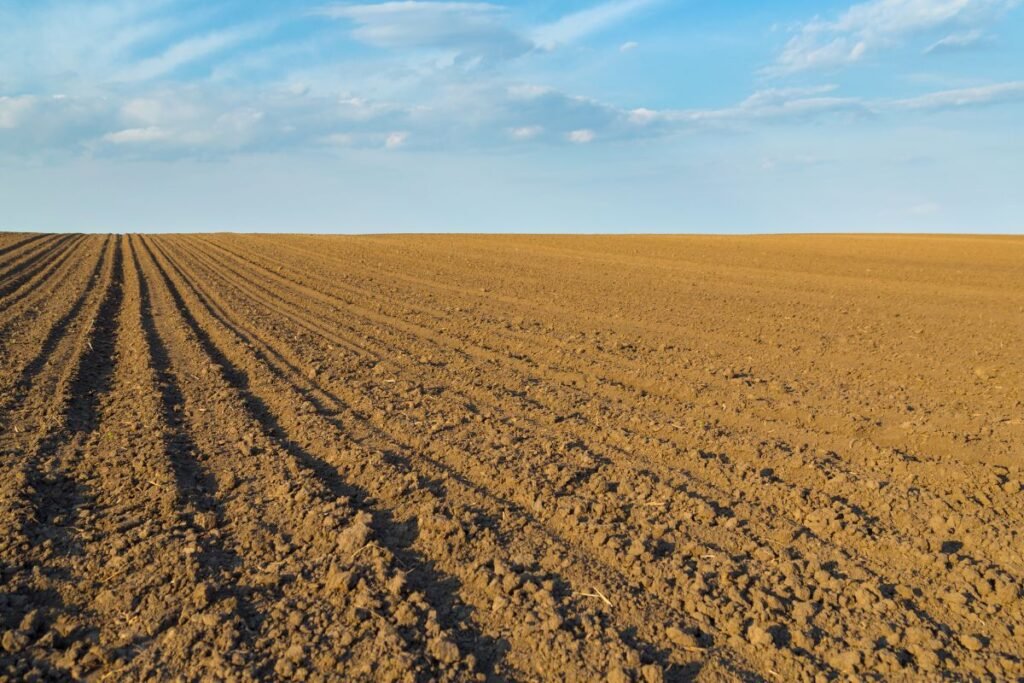 Dirbamos žemės nuomos kaina