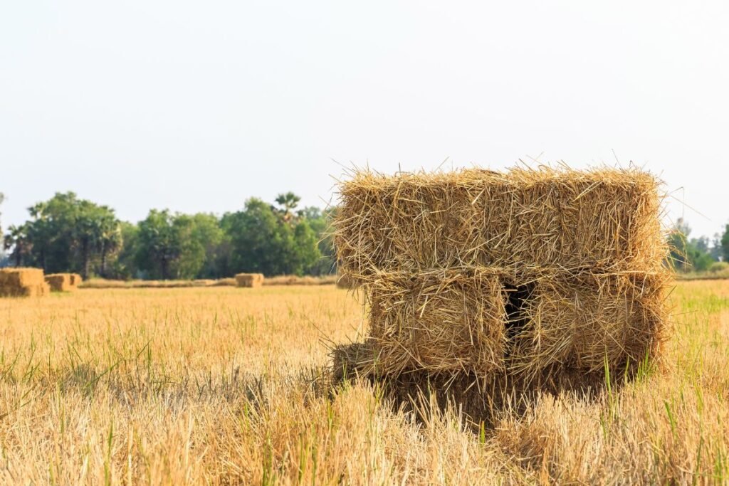 Kodėl šiaudų granulės ūkio sąlygomis – auksinis variantas?
