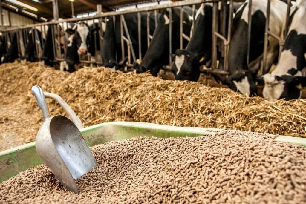 Kam reikalingas granulių presas ūkyje?