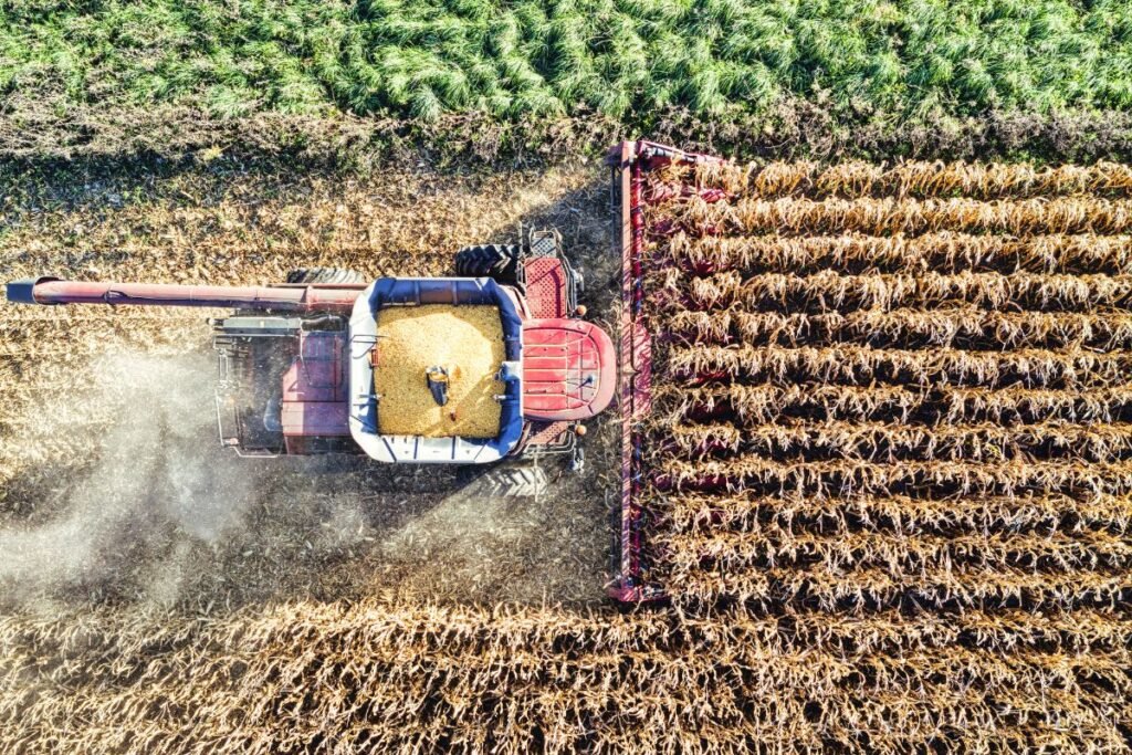Kas yra sėjomaina ir kaip tai atrodo praktiškai: visapusiškas vadovas su pavyzdžiais