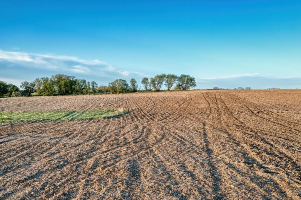 Žemės našumo balas: apskaičiavimas ir pagerinimo galimybės