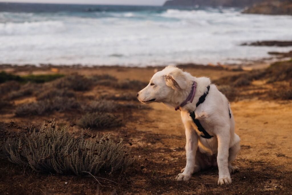 Dažniausios klaidos ir kaip jų išvengti