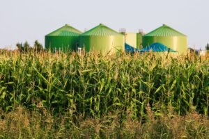 Nuo mėšlo iki energijos: kaip biodujos gali pakeisti Lietuvos ūkius? Ar atliekos gali virsti pelnu?