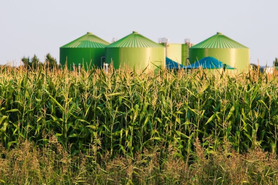 Nuo mėšlo iki energijos: kaip biodujos gali pakeisti Lietuvos ūkius? Ar atliekos gali virsti pelnu?