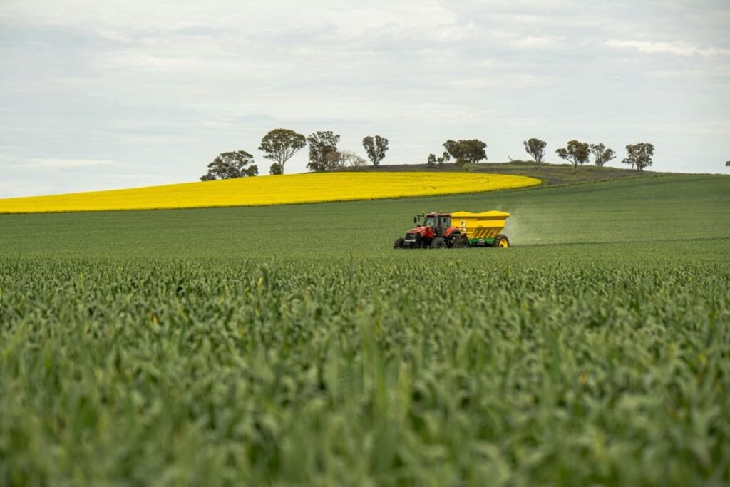 Ekonominis aspektas: investicijų grąža ir trąšų efektyvumas