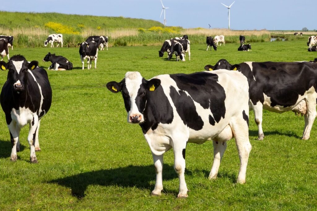 Investicijų ir administravimo proveržis