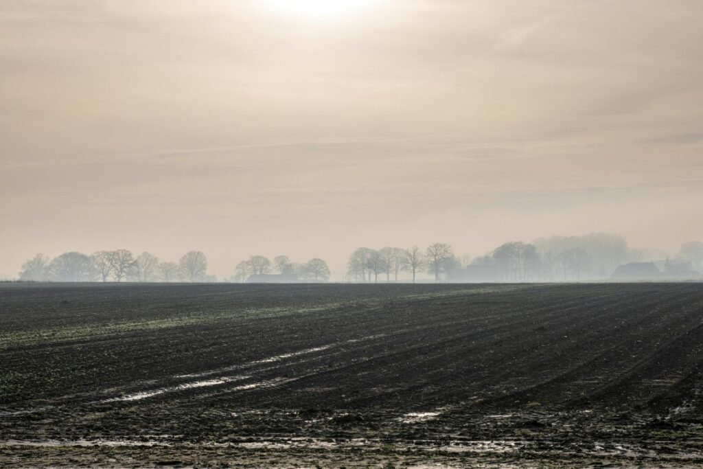 Žieminio tręšimo privalumai