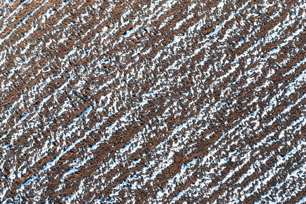 Kada žiemą tręšti negalima?