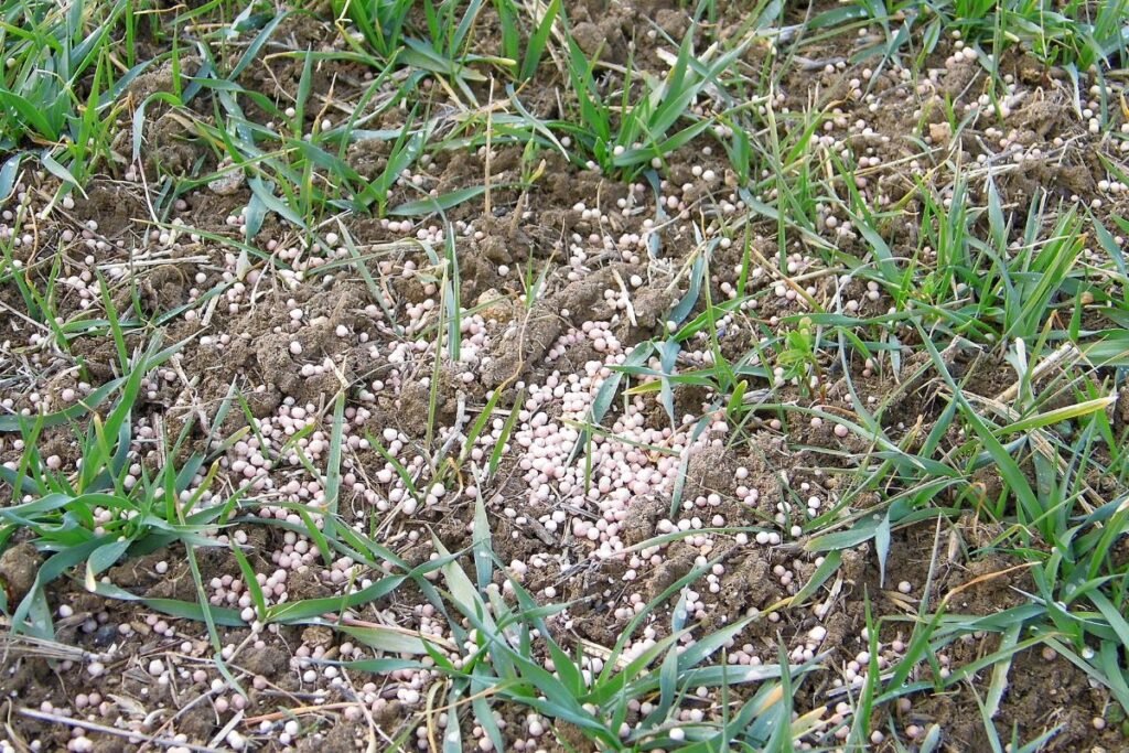 Tręšimo reikalavimai: dažniausios klaidos ir kaip jų išvengti