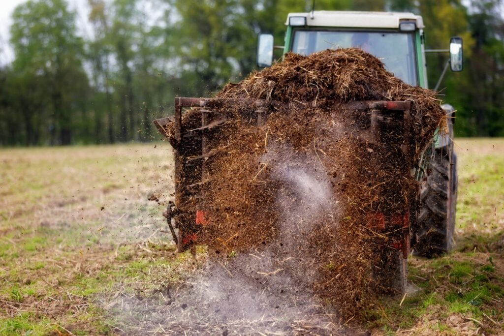 Tręšimo reikalavimai: mėšlo laikymas ir sandėliavimas