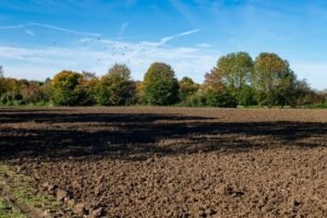 Žemės kaina pagal našumo balą: kiek kainuoja derlingas žemės ūkio sklypas 2026 metais?