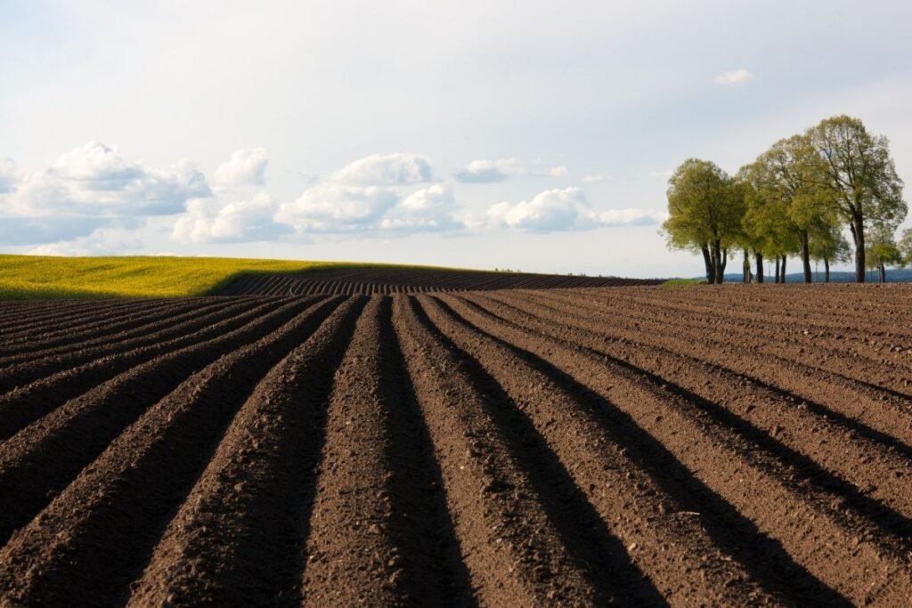 Ar verta investuoti į žemesnio balo žemę?