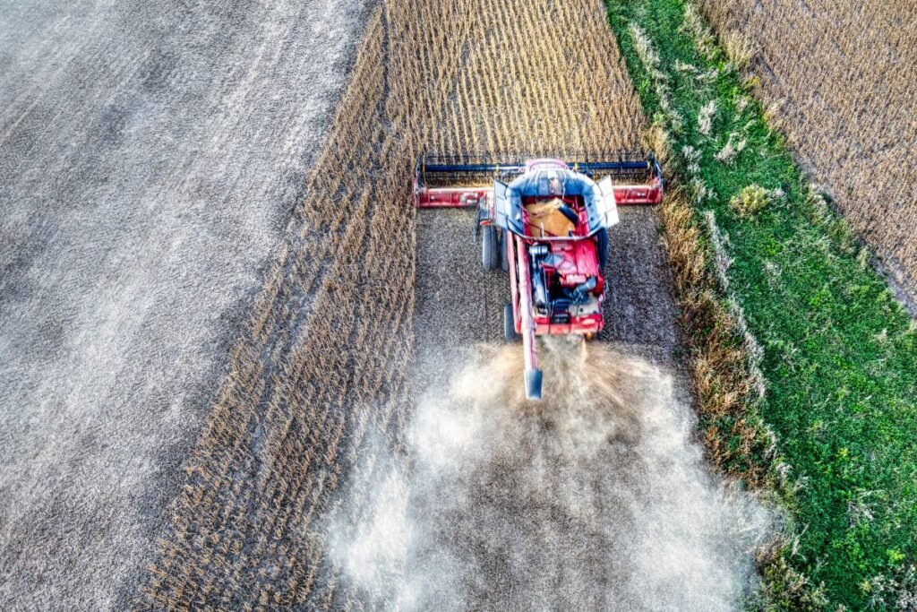 Derliaus nuėmimas ir panaudojimas