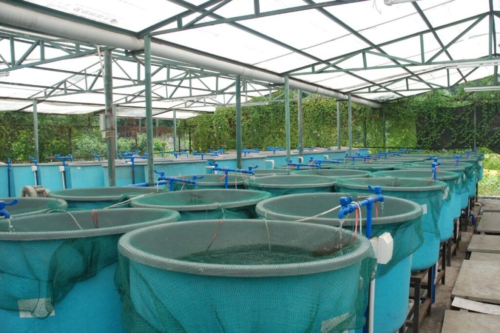 Žuvininkystė rekomendacijos pradedantiesiems