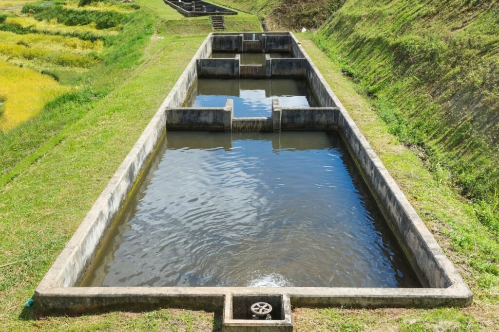 Kokių investicijų ir sąnaudų reikalauja žuvų veisimas?