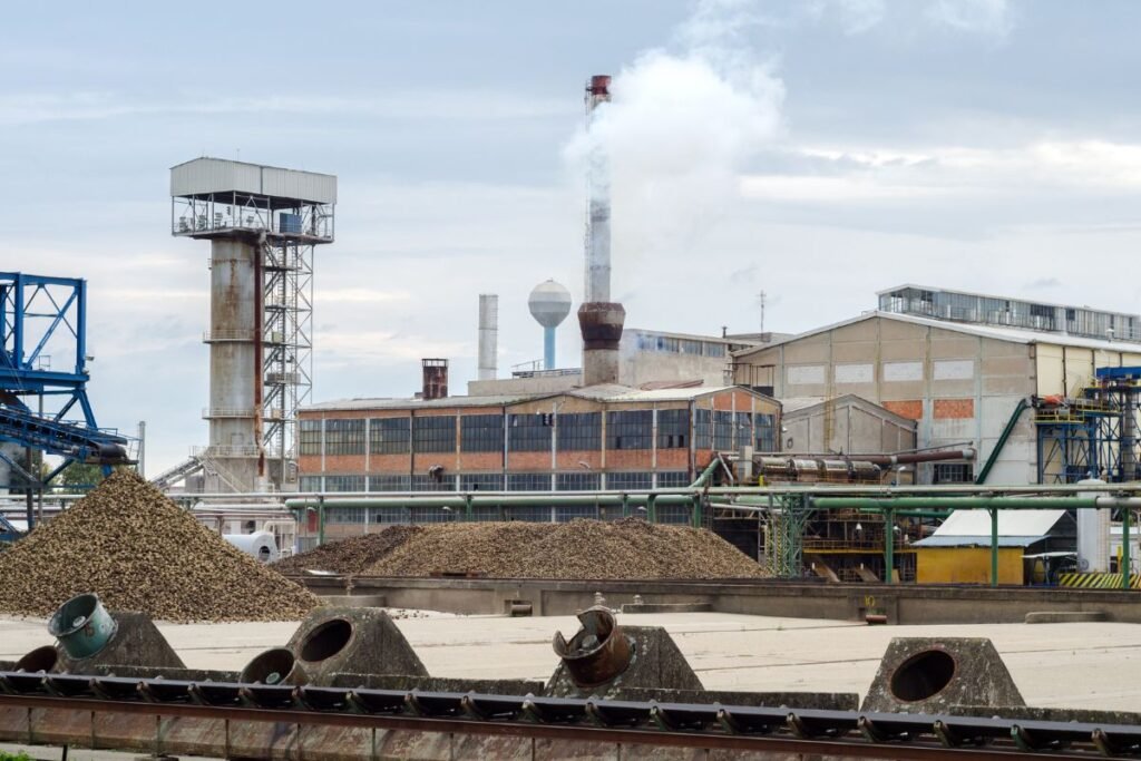 Nuo optimizmo iki realybės: kas nutiko po kvotų panaikinimo?