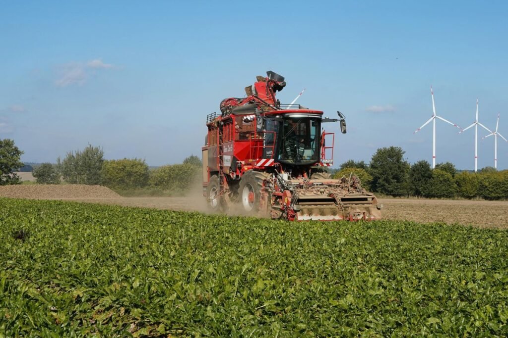 Cukraus rinka: kur dingo teisingumas ir pusiausvyra?