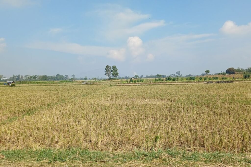 Žvilgsnis į praėjusį sezoną: kodėl rizikos auga?