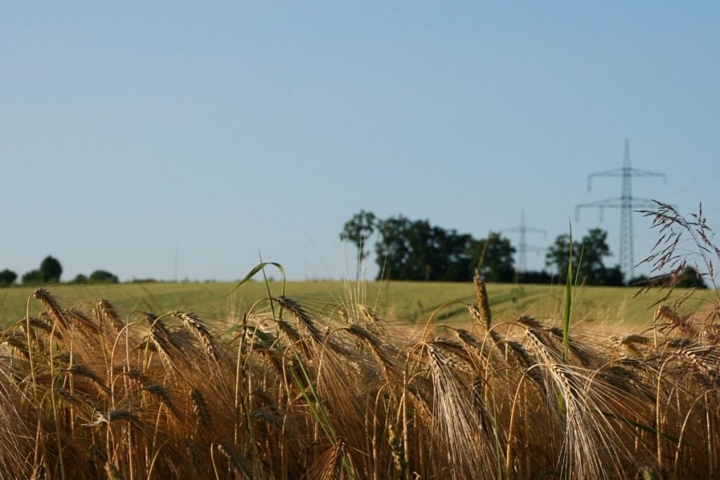 2026-ųjų žiemos realijos: ką daryti dabar?