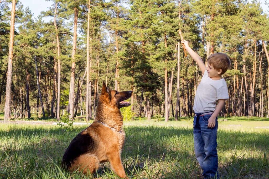 Auklėjimas ir socializacija – būtina investicija