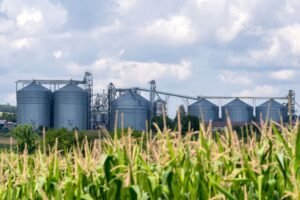 Silosai XXI amžiuje: kaip šiuolaikinės technologijos padeda išvengti pelėsio ir kenkėjų žalos?