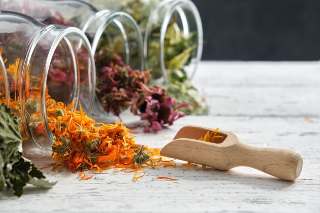 Vaistažolių auginimas