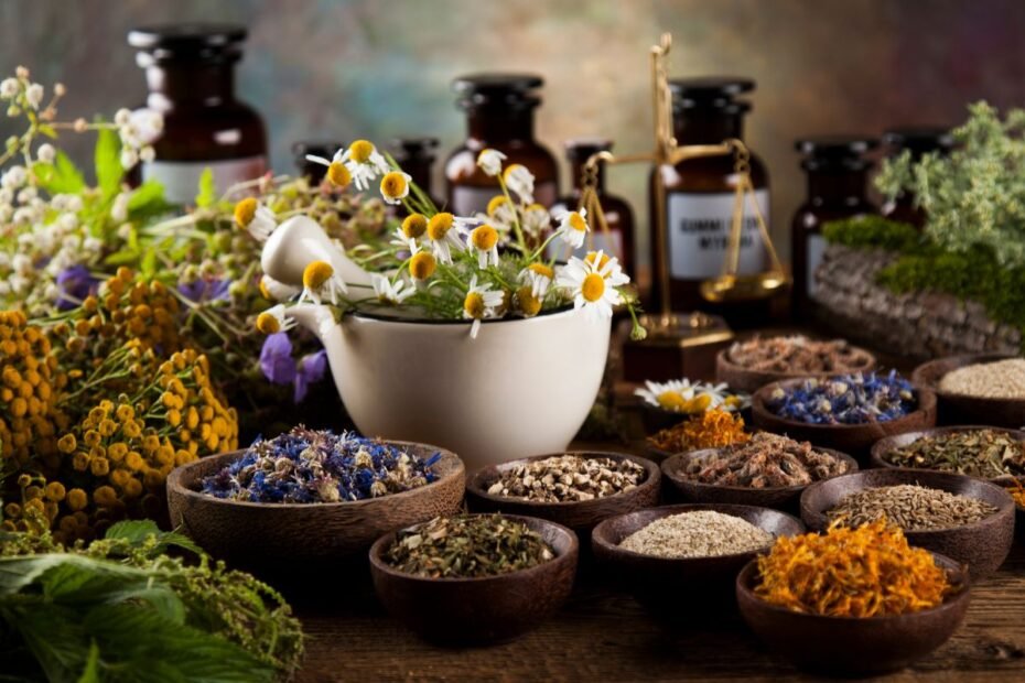 Vaistažolių auginimas