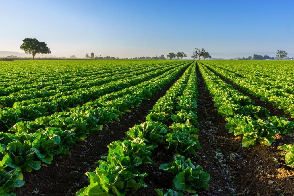 Dvi galimybės patikslinti VED iki balandžio 10 dienos