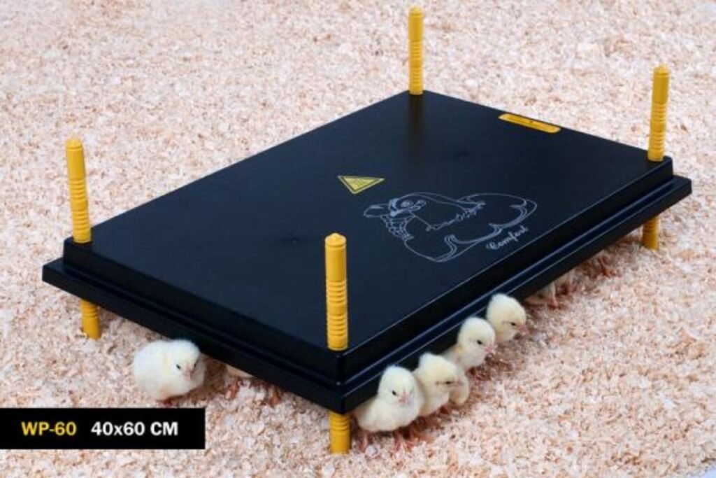 Viščiukų šildymas