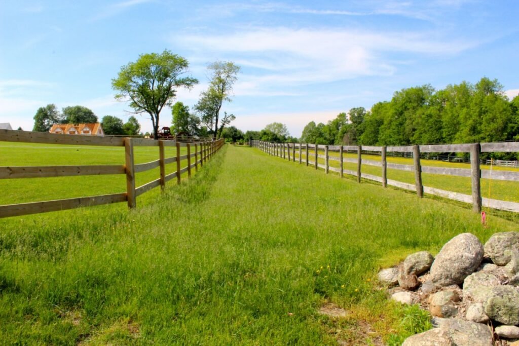 Ganyklų atnaujinimas