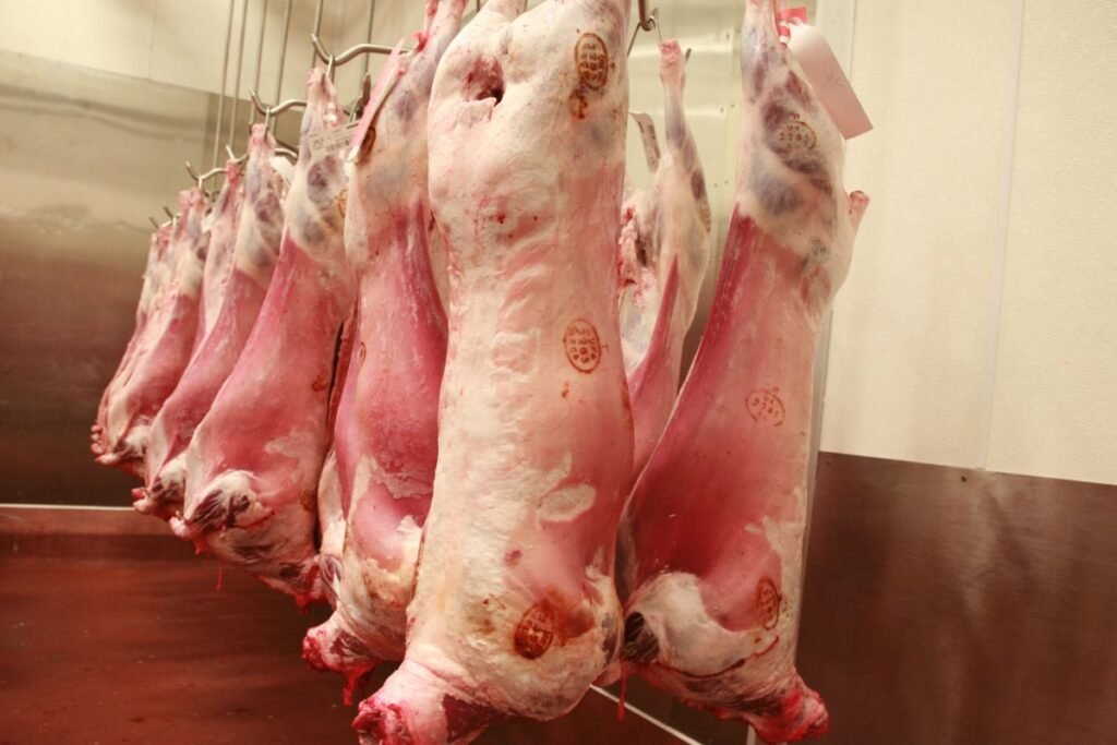 Tipinė skerdenos išeiga: kokie rodikliai laikomi normaliais?