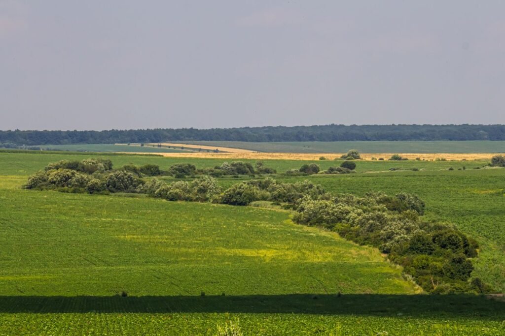 Oficialūs pokyčiai: nuo 2026 m. sausio 1 d. įsigaliojo nauji žemės verčių žemėlapiai