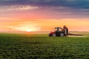 Pasėlių deklaravimas