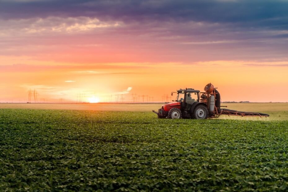 Pasėlių deklaravimas