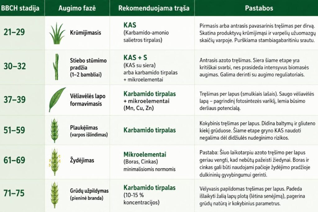 Skystos trąšos javams: naudojimo laikas ir stadijos