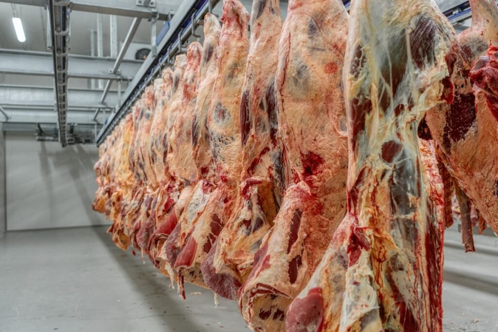 Skerdenos vertinimas pagal EUROP sistemą